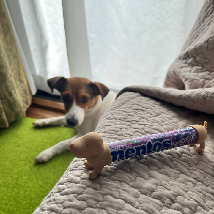 7db96e37 d1ea 4022 badb 3606666da5f7 1721434950157