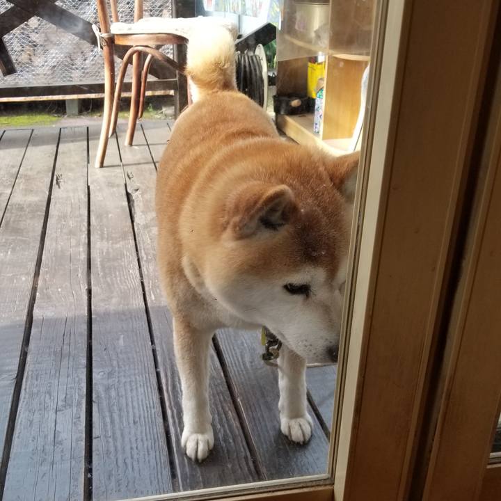 7db97bf7 5e31 4c1c 809f fe4fc605430a 1652222118223