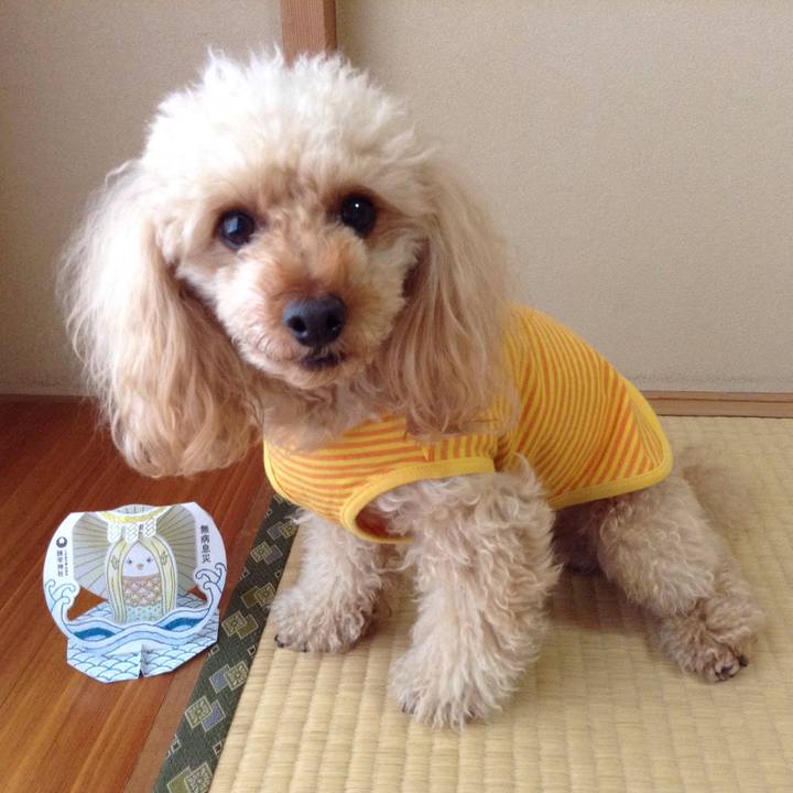 7db98211 1c60 43a9 8a6e 44870b6df64b 1586563082857