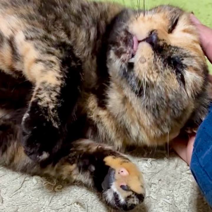 7db9886e 90ec 4a23 bb91 7bbee7e07dff 1749071432181