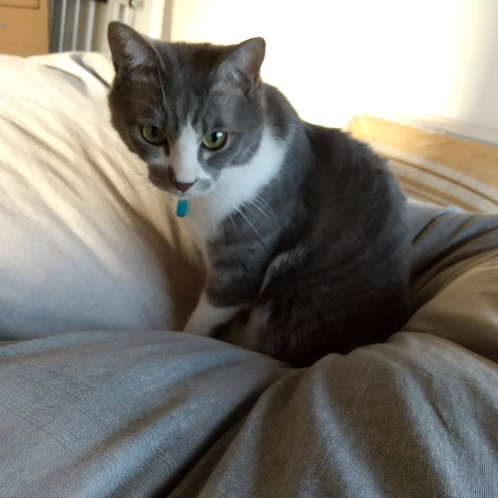 7db9ab01 3b0c 49e8 a6e9 5a7fde76bfea 1615936471250