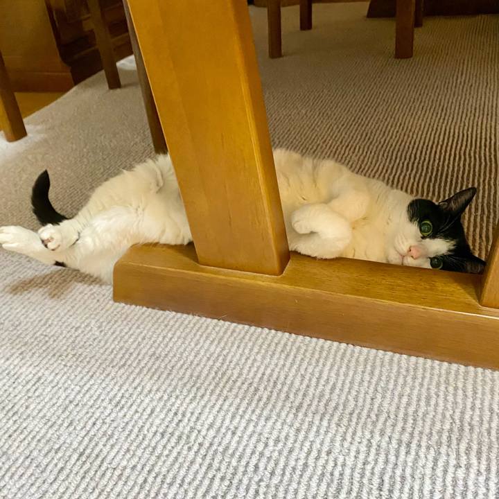 7db9c63f baee 451b 9cc0 7b20467fe94b 1768389156053