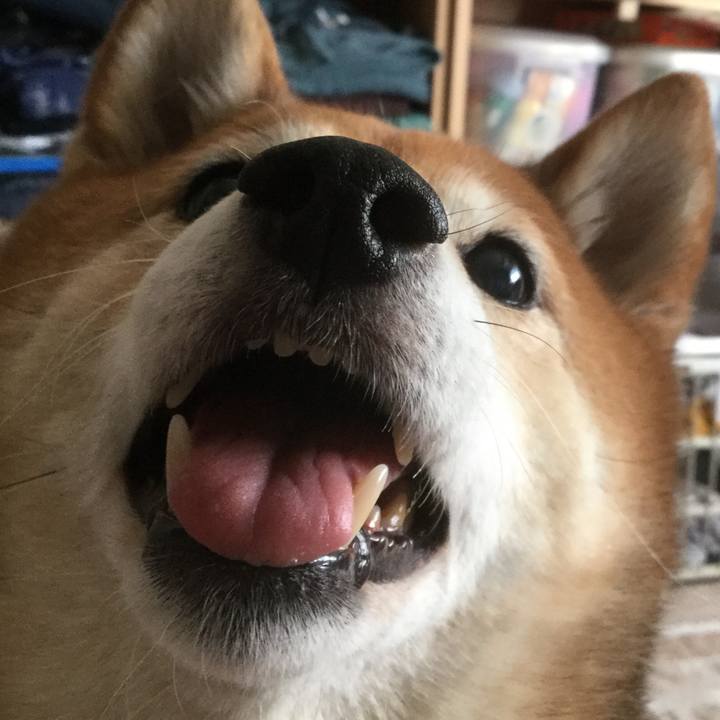 7db9d0c8 a215 45aa a8fc 966f2fe02090 1581132405582