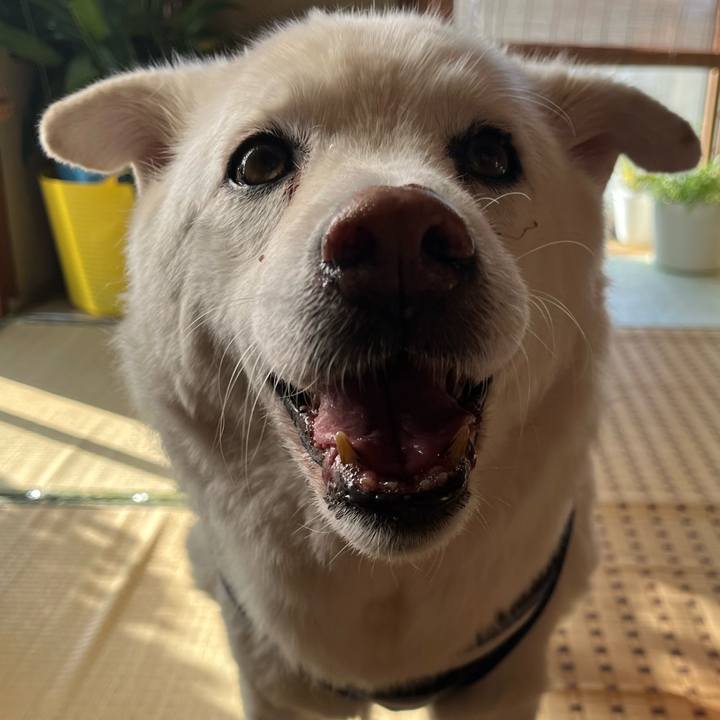 7db9d44f a87b 484b babe 2344ca6274b4 1763077547705