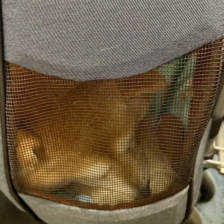 7db9db95 8293 4890 941c 41e599a55ef4 1655535655652