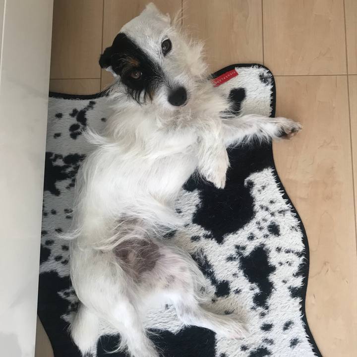 7db9ec4a 04c8 4e71 af4c cf0fde15f600 1534132908066