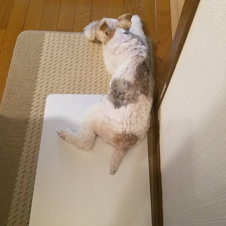 7db9f295 ba4a 4157 9694 ab11a0c6f26c 1567050436949