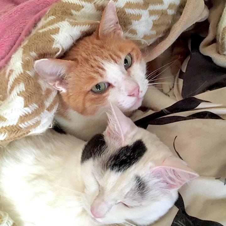 7db9f417 98f3 4423 8d9f e9dade9826fa 1585470680267