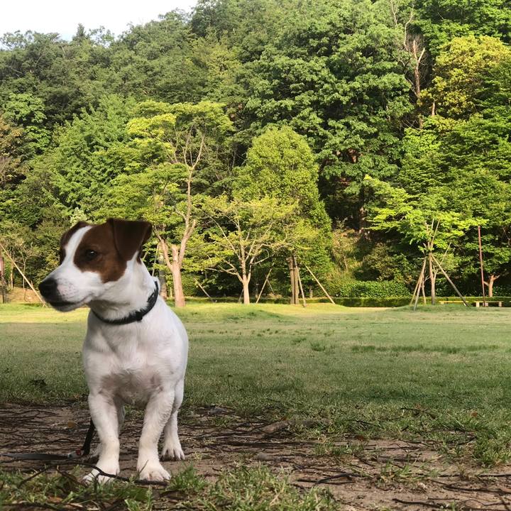 7dba1953 132f 4d50 a514 296b70aa7a8d 1558429635723