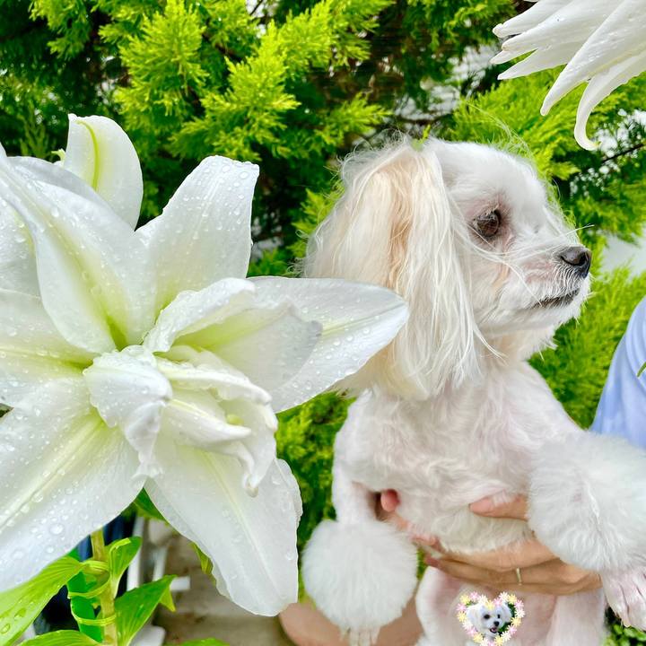 7dba1b3a 325f 4d81 93f3 13645a4a5b52 1625196177110