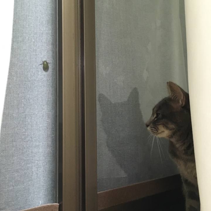 7dba7e7b 3406 44a1 80d8 10eed3b637a0 1564925749386