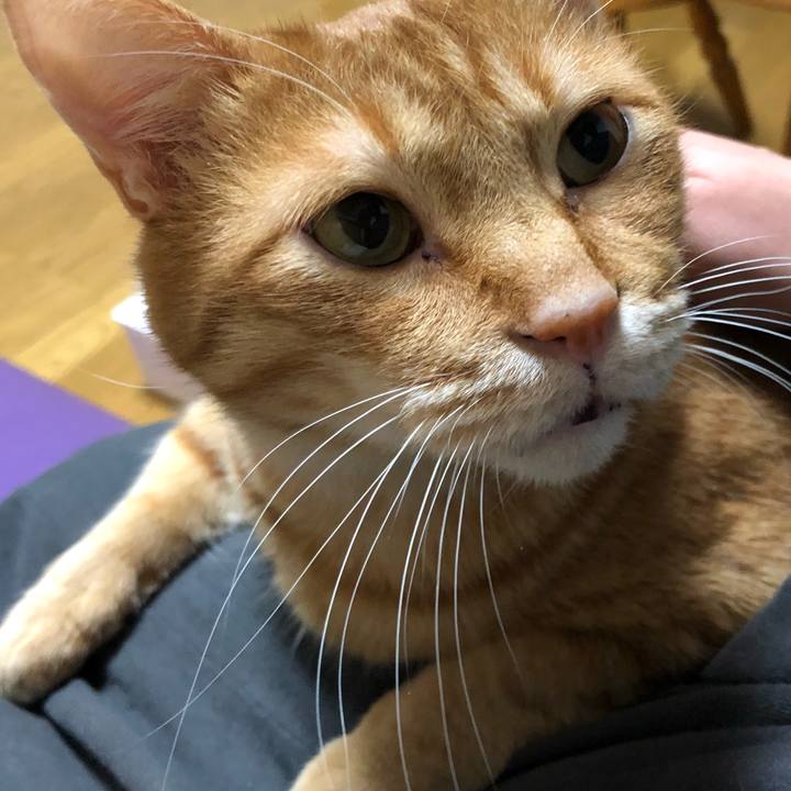 7dba93a0 c4e9 4150 8f94 5c68d4abe466 1607438377950