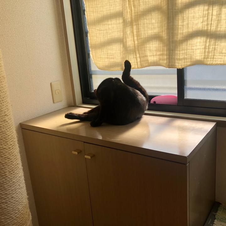 7dba9ba2 608d 44a6 bbc4 81eef2df4214 1613016886109