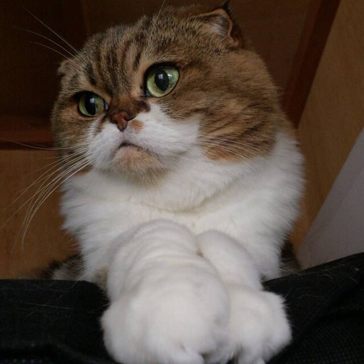 7dbac6c7 6a8c 4667 9e01 4569c3d5abe1 1509776192040