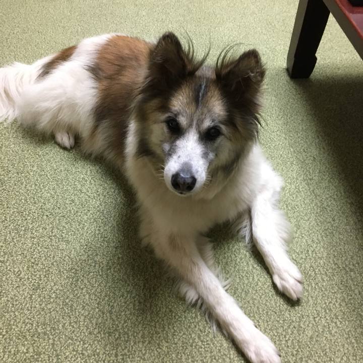 7dbb4776 1916 4058 b87c fee82fca72da 1509017256279