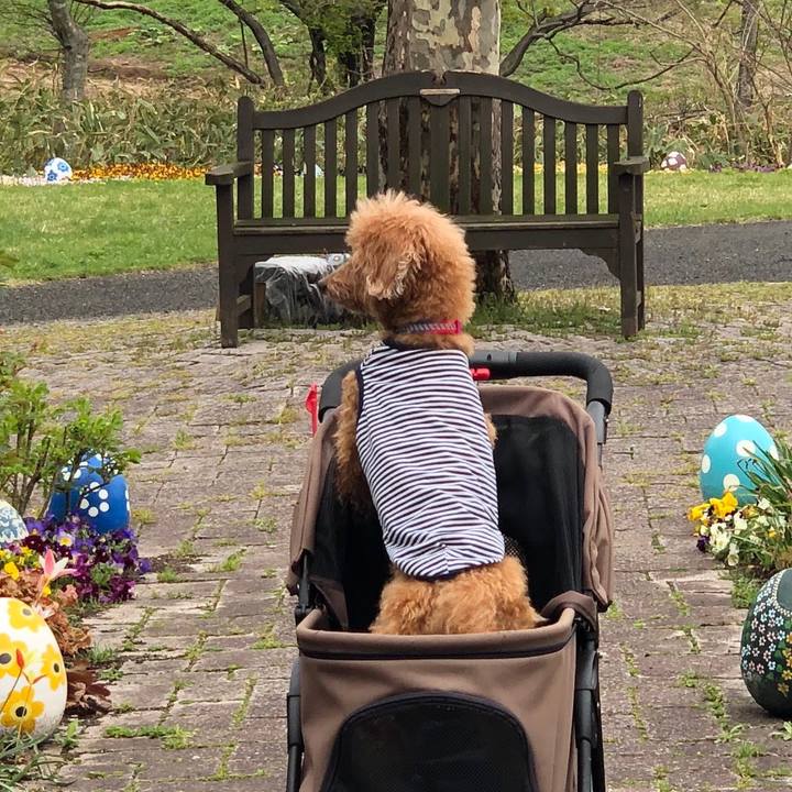 7dbb6e23 b6b0 4560 9b17 856c96fa163c 1556831667439