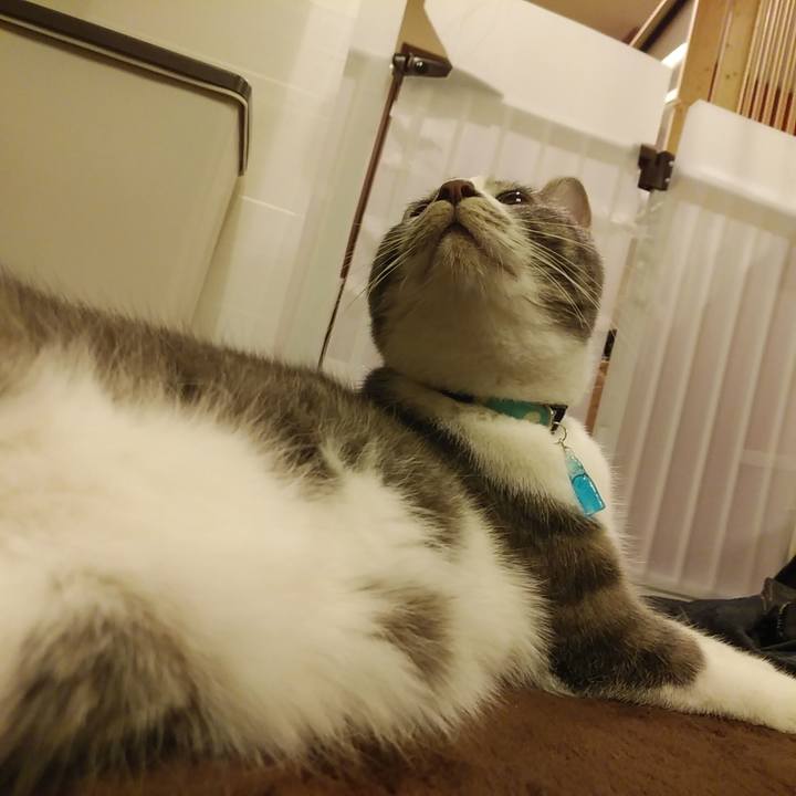 7dbc2e61 d3bc 4e8e a5d8 d78de56661ca 1579962540999