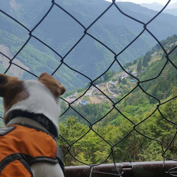 7dbcbef1 fc1e 4ae4 900c 591be7ce40e5 1559188014821