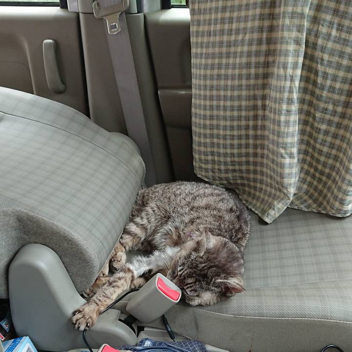 7dbcd9be e383 471b baeb aac4f6d3db5b 1592103528438