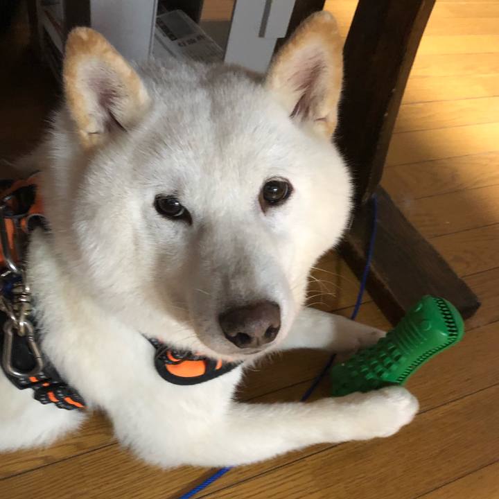 7dbced6d 8412 4743 80dc ac0086d4d655 1634813048036