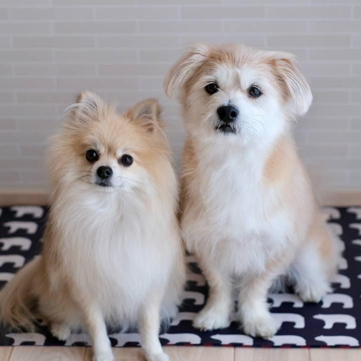 7dbd2d98 02f9 4acb a7b6 35a086312651 1762208306957