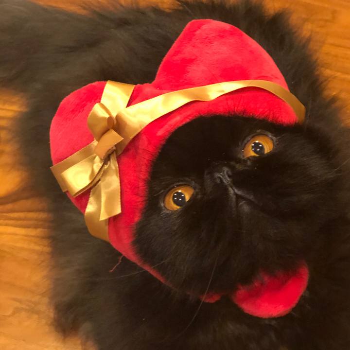 7dbd4a15 b6b3 4199 9158 5d8f243d208e 1615011436617