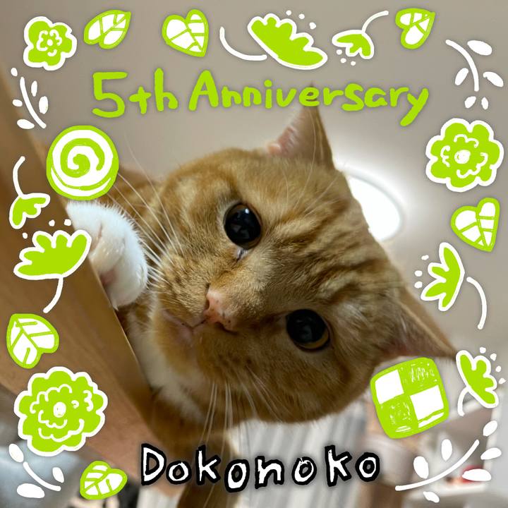 7dbd9828 033d 4b2b 8acc f65d25785545 1622864185435