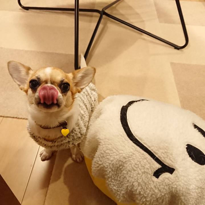 7dbdc608 24d2 4e1e ae90 ce8faea82de5 1551686763459