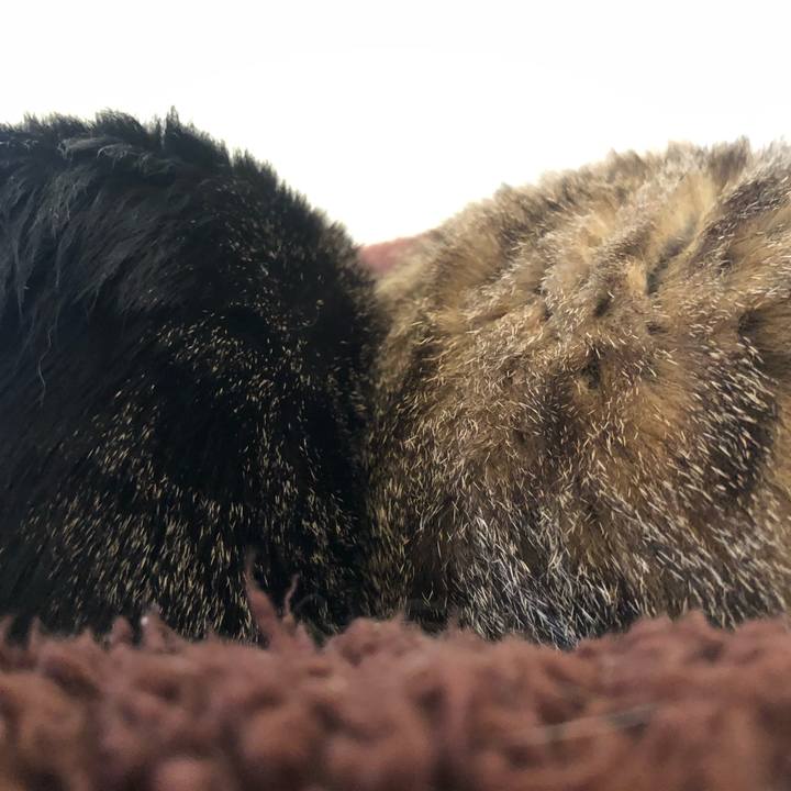 7dbdc68b 2376 43a3 98dd cac34b212619 1612691150810