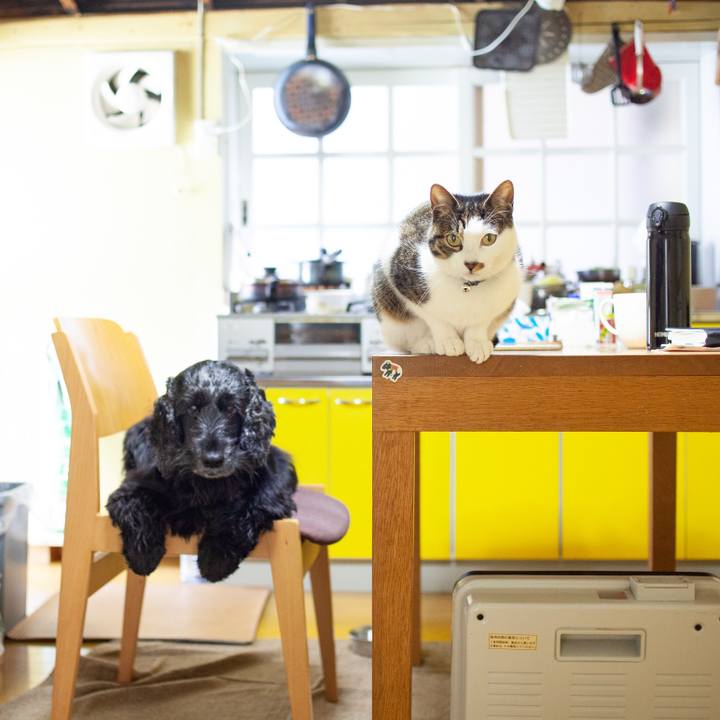 7dbdd7f3 d1b9 42e5 af65 6898bef66b85 1549583154120