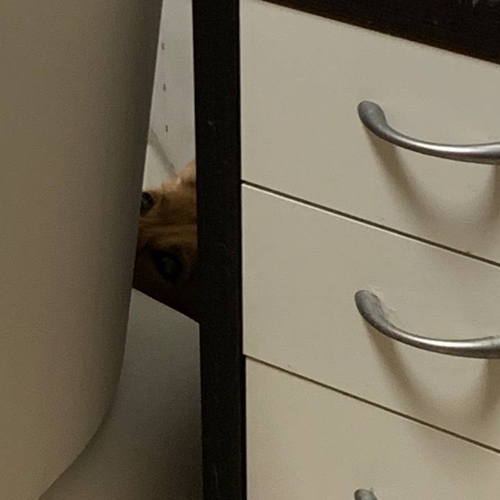 7dbe2e7a 1e87 47ab 864c 9755f5e50910 1570371564145