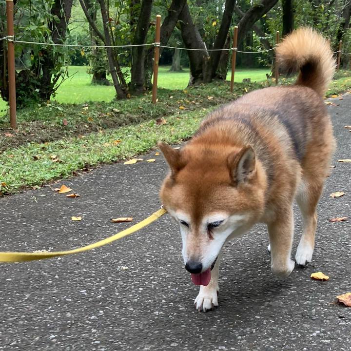 7dbe4967 0159 4f76 b50c e88b7ddc7b67 1661508003798