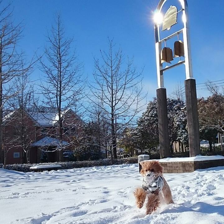 7dbe4dda 55c7 4284 9603 a085d73c2b9d 1516847321750