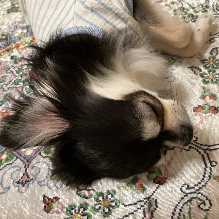 7dbe5471 9f0b 46ca b114 41c780ee6424 1651585941526