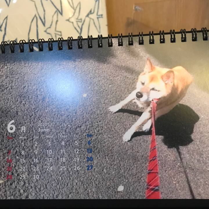 7dbe631c 7ccc 48f3 93ce fd8200279851 1590970335071