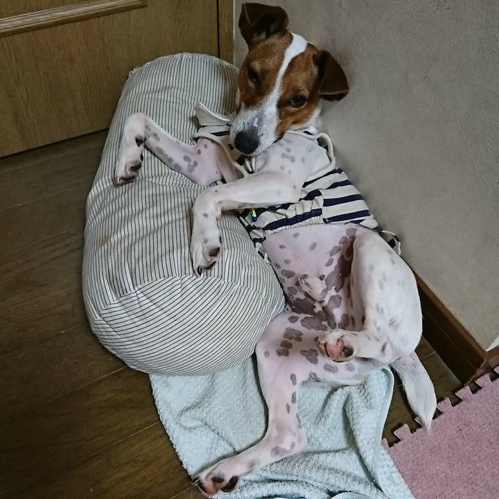 7dbe73dd 1725 44c3 9bc4 a6bd97c7fab5 1536282027277