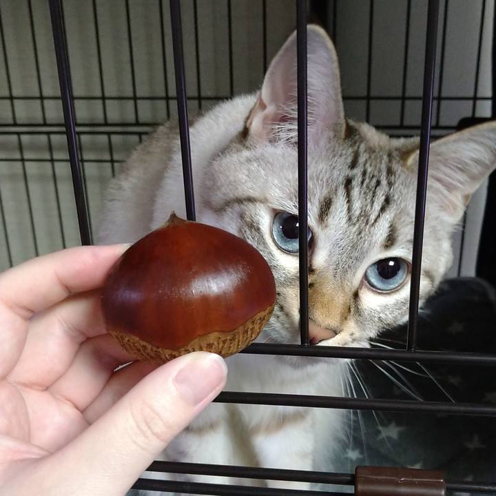 7dbe7458 ff21 4ca0 9238 1639e157e3b9 1664624106421