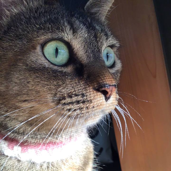 7dbee26f d02d 4aa9 9879 192710d174ae 1663319538347