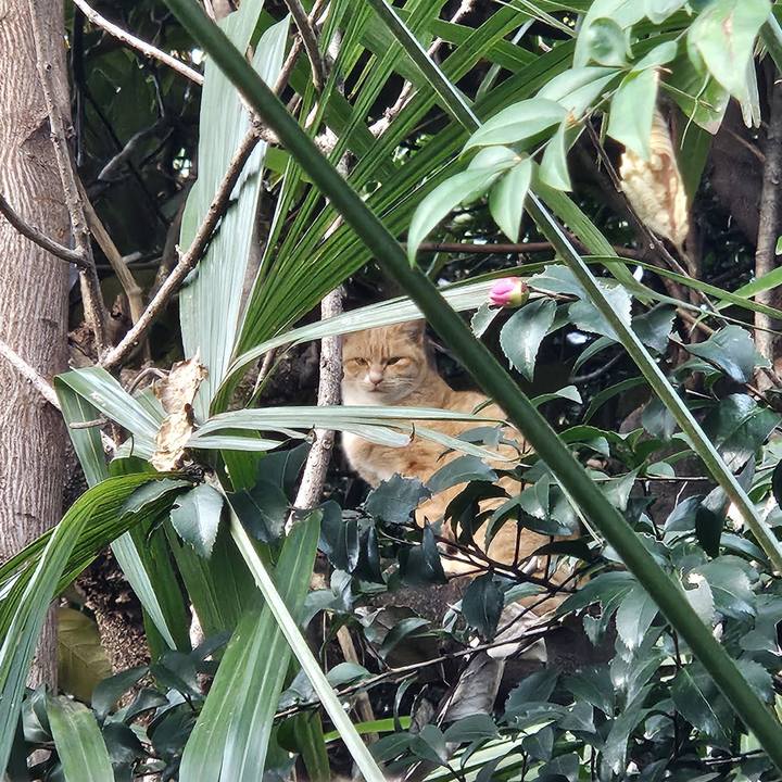 7dbf1a9d eec9 4af1 9d75 ee9d0a17c360 1732762271821