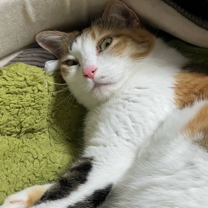 7dbf3f4b 4cd5 465b a7c4 9e1b0ceb01f3 1773492156006