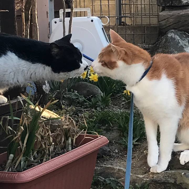 7dbf542c b663 487f ab1b ff6b5ce2b44e 1522363669429