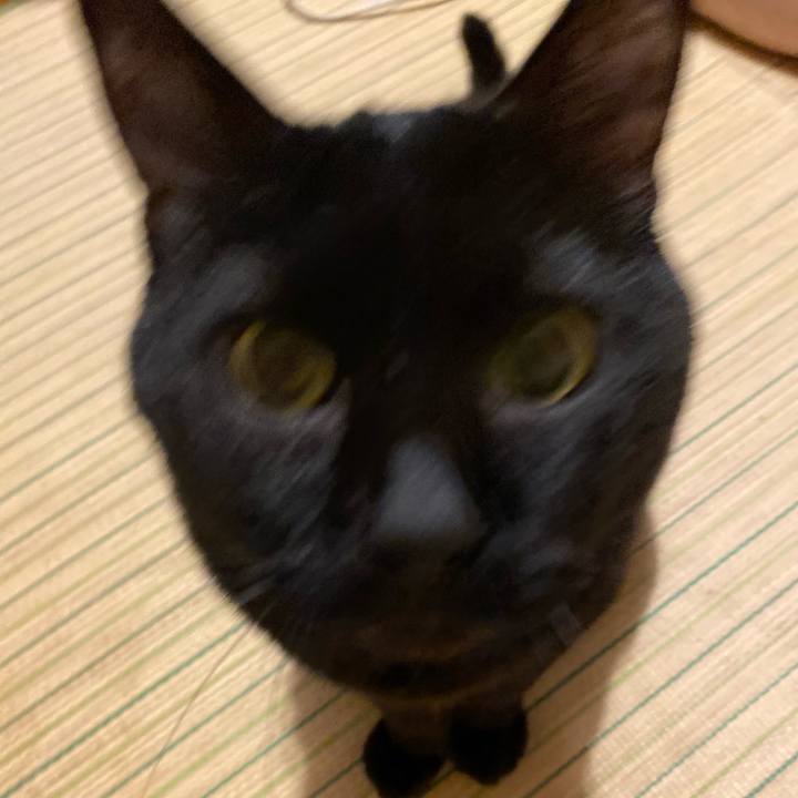 7dbf8b59 cd51 44ab b684 bfcd6eea582a 1623587005166