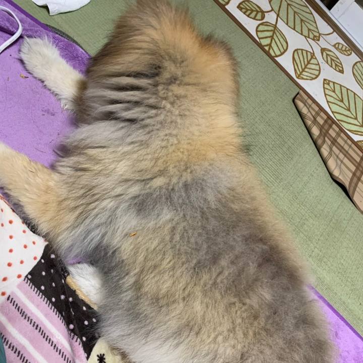 7dbfe283 607a 401b bea9 28cdec41c864 1610815891934