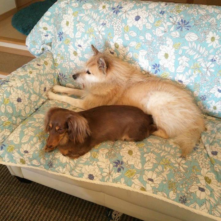 7dbfe650 a8c3 4dec 9559 ecebf6e088c8 1514010926900