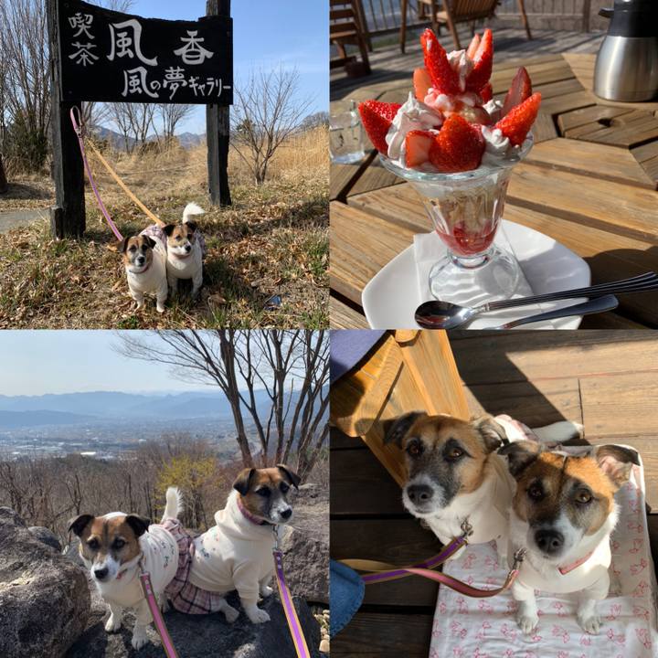 7dc004e3 e9a5 4126 bfba 38b275ee0fcd 1616150971582