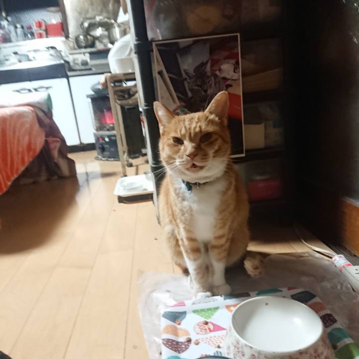 7dc014f8 5077 467a 8754 c14743472f3e 1604951557507