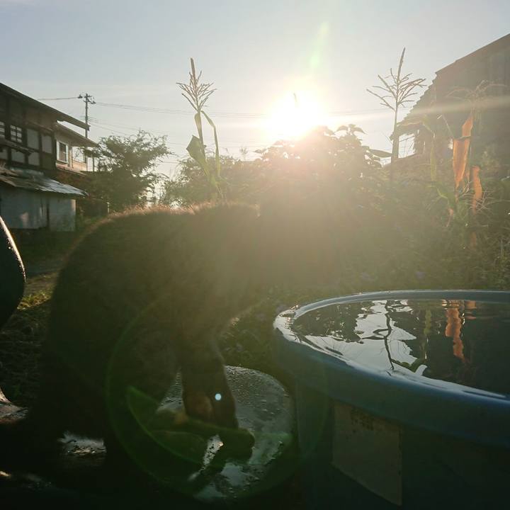 7dc023f3 82b3 4a82 9af3 4416e1fa0dcf 1598303151979