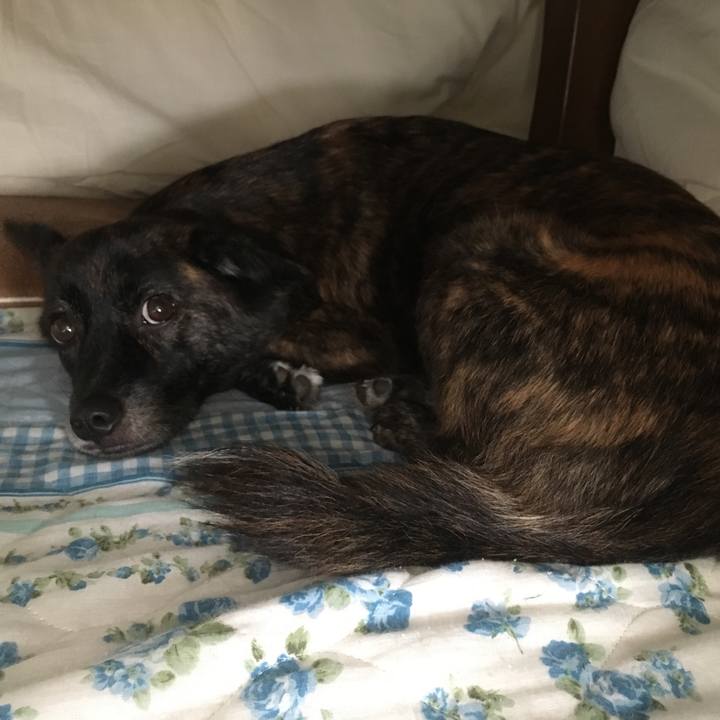 7dc0533f 30e5 4a71 a051 9ca12de85d61 1509250669649