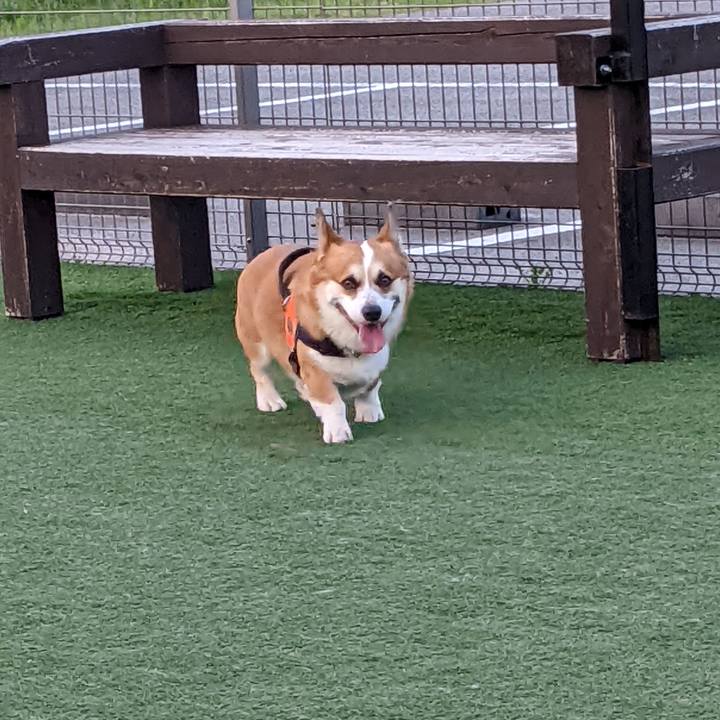 7dc05cbd 26cd 4e5f a0fb 4e9146e12838 1686654253414