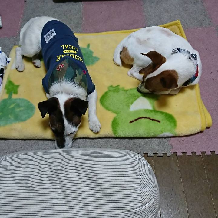 7dc0703f 4896 4c1a a140 033e7459ca26 1525425945834